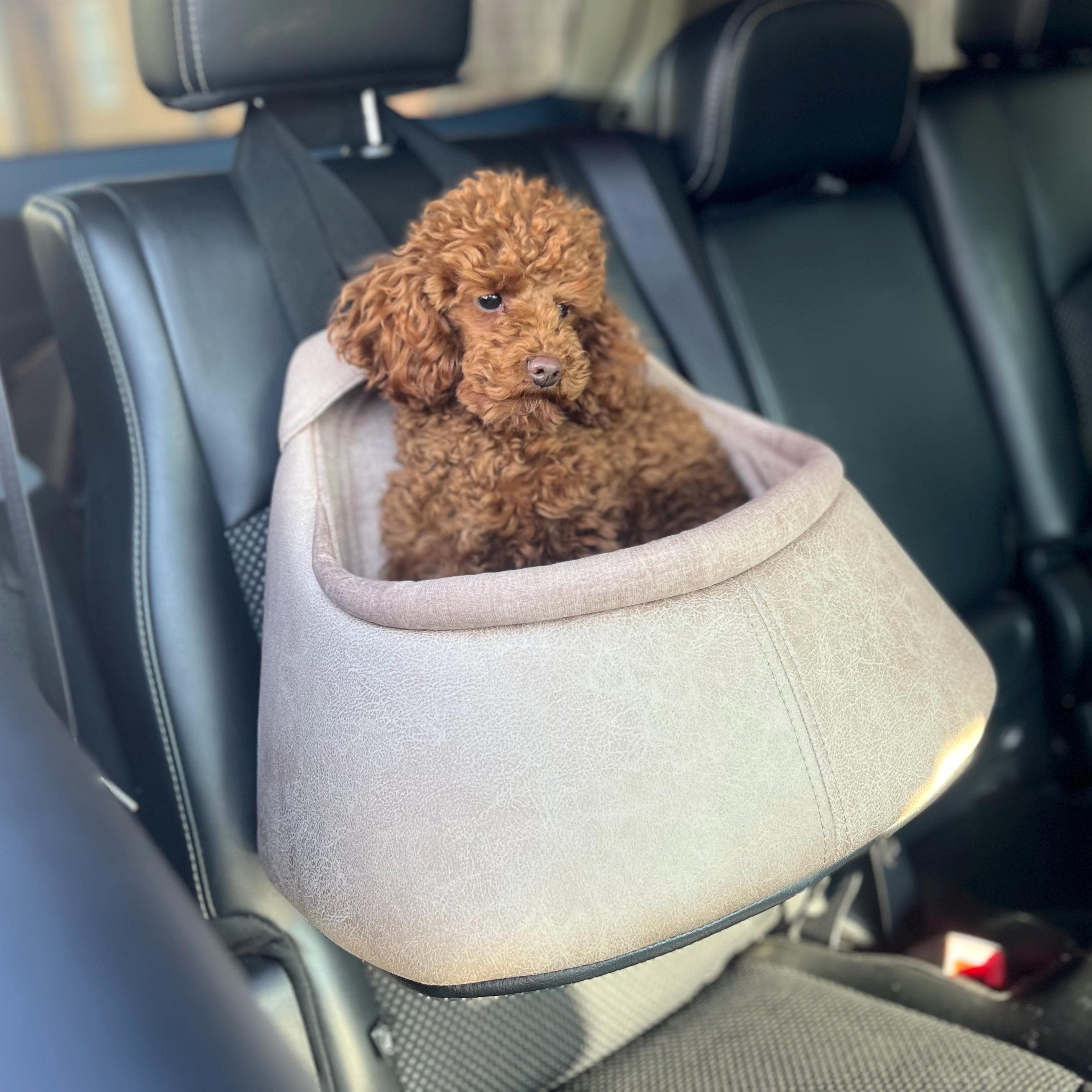 Handmade, High Quality, Car Seat For Dogs, Premium Dog - Stylish & Secure Travel Bed Small Beige Faux Leather With Safety