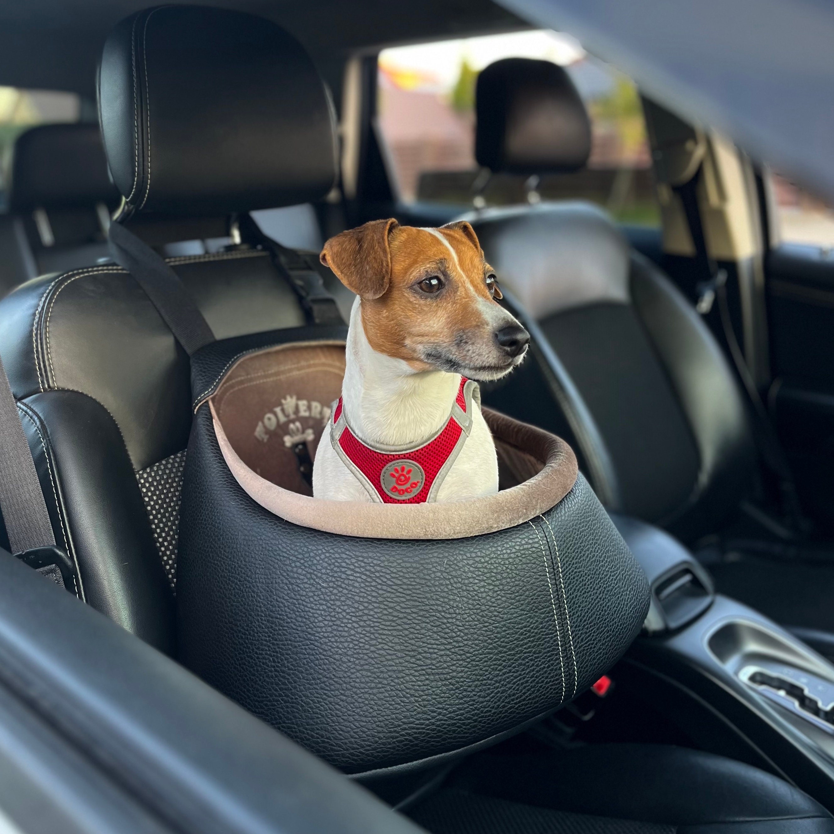 L'élianne ® : #1 Designer Dog Car Seat