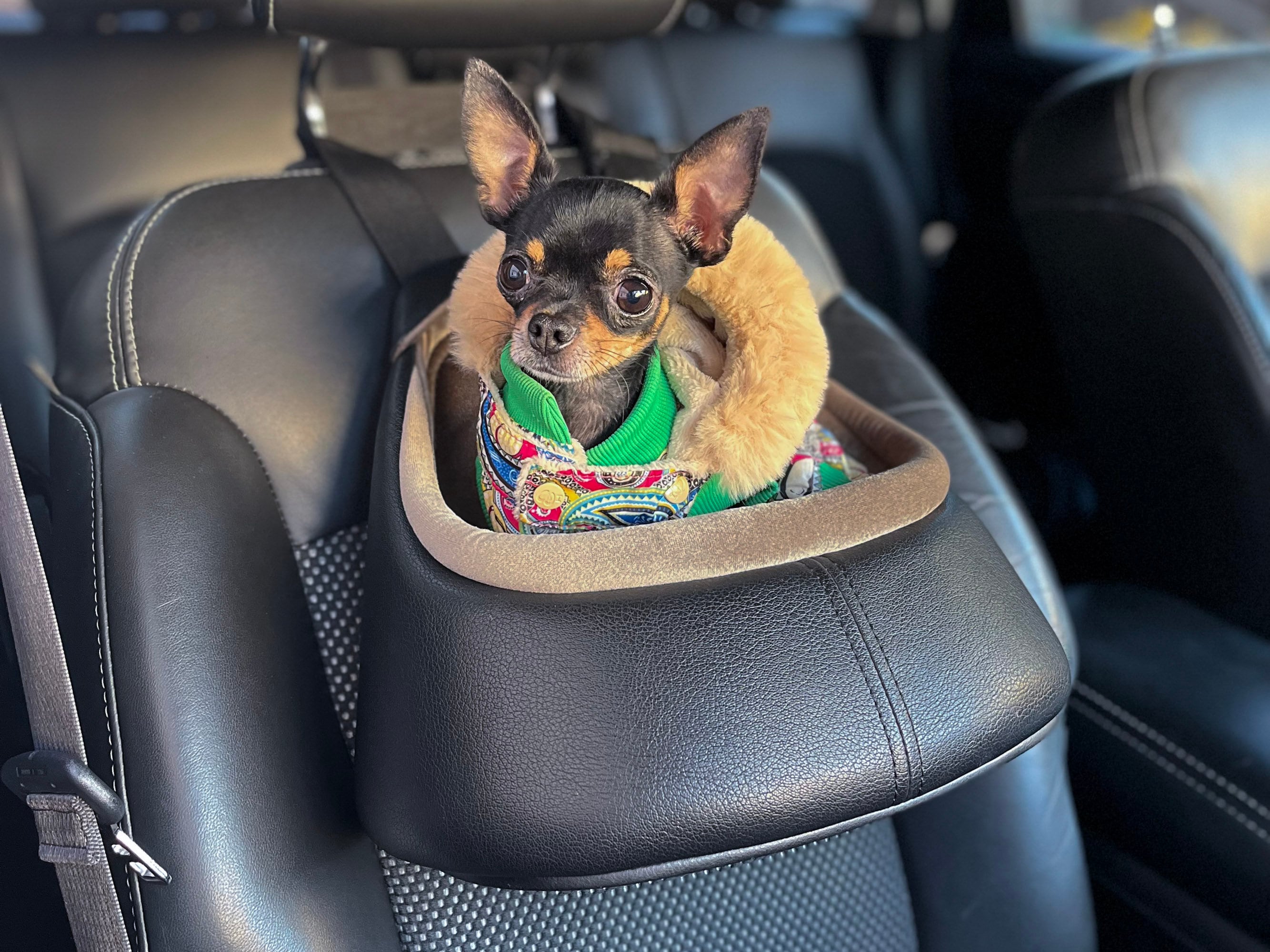 Dog Console Car Seat Dog Car Seats for Small Dogs Pet Console Car Seat