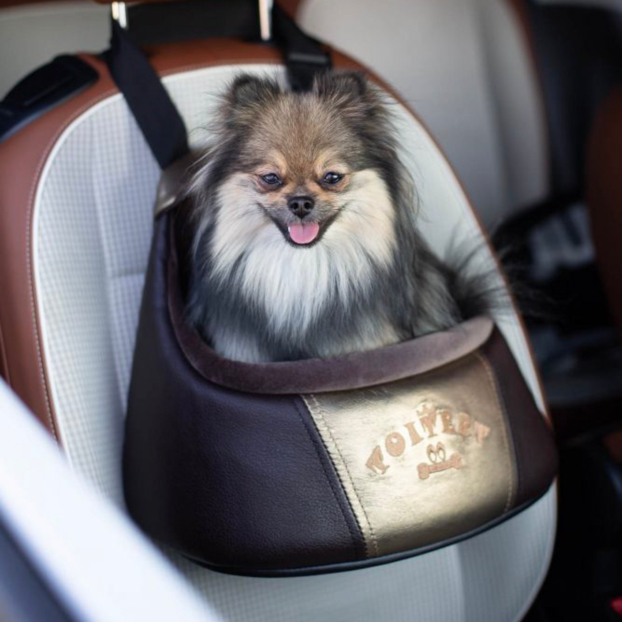 Hunde Autositz Echtes Leder Handarbeit Hundesitz Sitzfläche