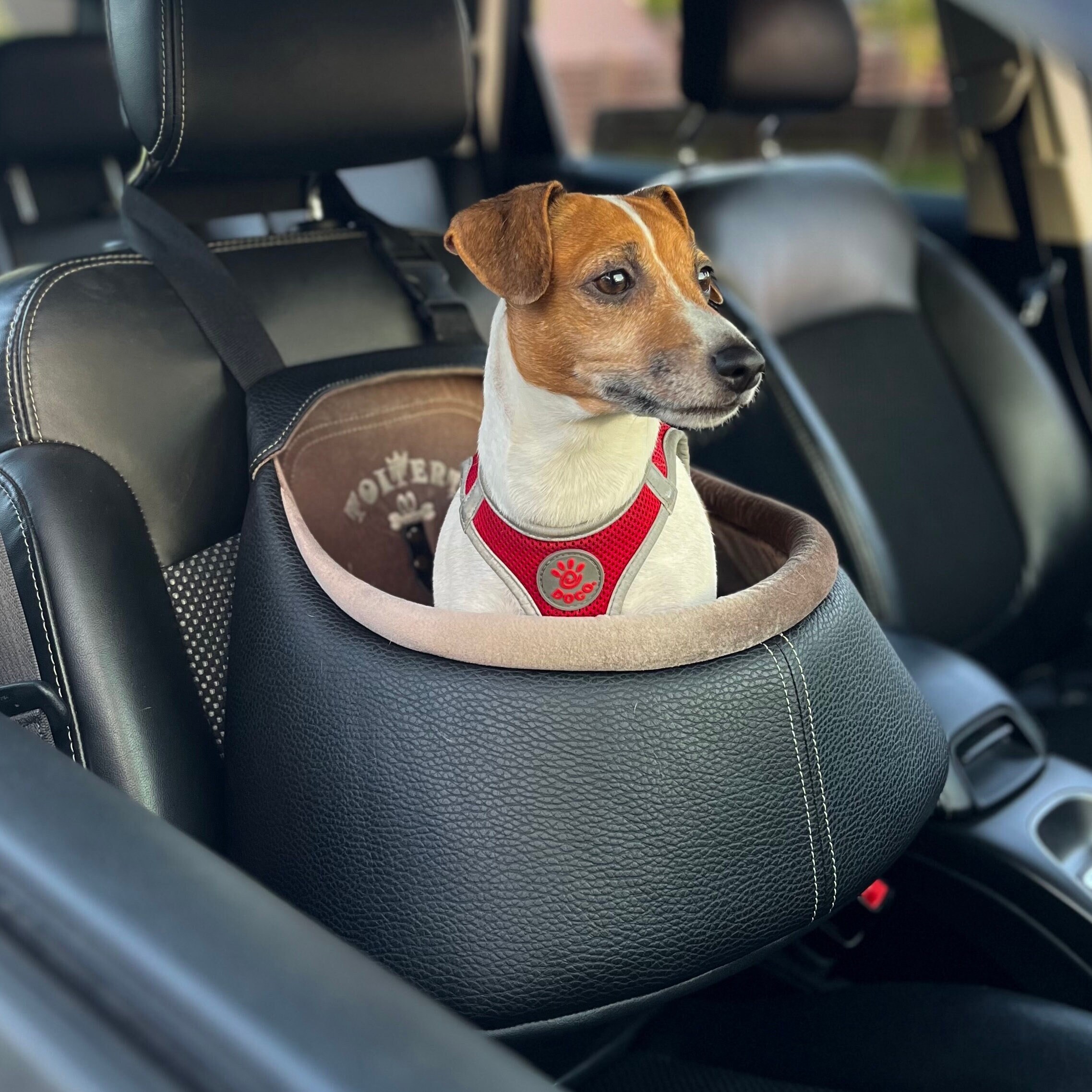 Siège d'auto pour chien noir Coussin de siège d'auto pour animaux de  compagnie Siège d'appoint pour chien de qualité supérieure Sac de transport pour  chien -  Canada