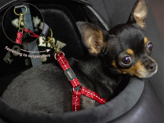 Dog Car Carrier, Dog Basket, Vegan Leather, Dog Owner Gift 