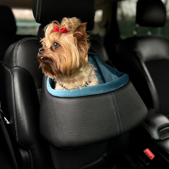 A Luxury Certified Travel Bag With a Soft Velvet Interior for Your Dog's  Birthday Party, Multi-functional Car Seat for Small Breed Puppies 
