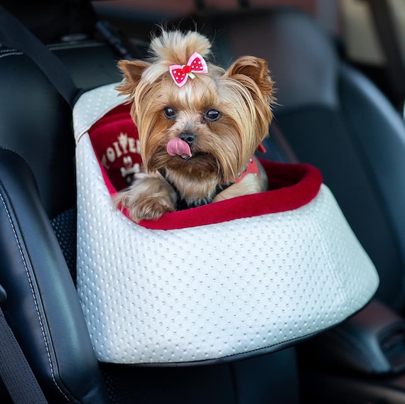 Premium dog seat belt top