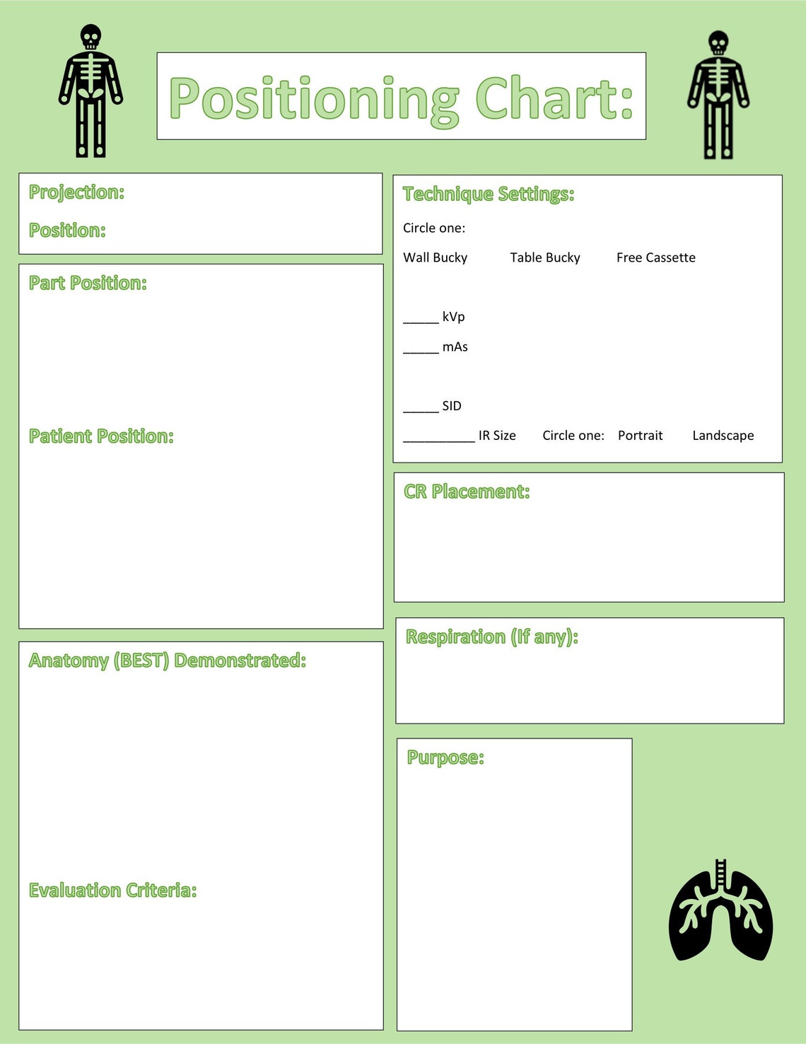 Radiology Positioning Chart Etsy