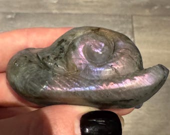 May include: A carved stone snail figurine with iridescent purple and green colours. The snail's shell has a spiral design, and the body is smooth. The figurine is held in a hand against a wooden background.