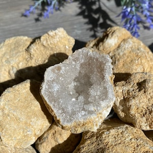 May include: A collection of rough, beige geodes, one of which is split open to reveal a sparkling, crystal-filled interior. The geodes are clustered together, with a few purple flowers in the background, creating a natural, earthy aesthetic.