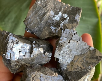 May include: Four rough, dark gray galena mineral specimens with a metallic luster are held in a hand. The galena crystals have a cubic structure and reflect light, creating a shimmering effect. The background includes green plant leaves.