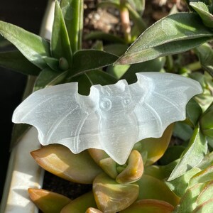 Selenite Bat | Selenite Natural Crystal Animal Carving | Metaphysical Home Decor