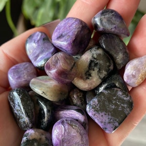 Charoite Crystal Tumbles | Natural Stone Rare Charoite Tumbled Smooth | Metaphysical Home Decor & Pocket Stone