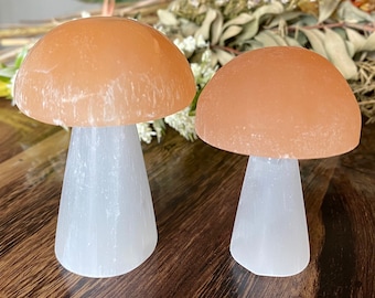 May include: Two mushroom-shaped decorative objects. The caps are a light orange color, and the stems are white. The mushrooms are displayed on a wooden surface. Dried flowers are in the background.