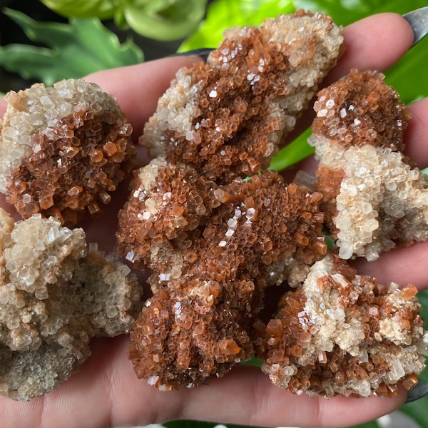 Aragonite Crystal Cluster Small Medium| Natural Raw Rough Red Aragonite Stone | Metaphysical Home Decor | Mineral Gem Specimen