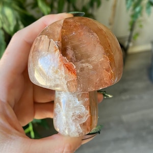 Fire Quartz Mushroom Crystal | Natural Hematoid Quartz Mushroom Carving | Metaphysical Witchy Home Decor