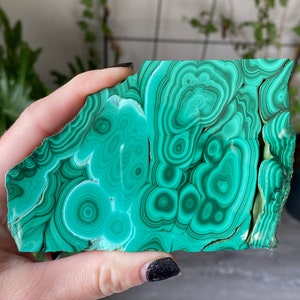 Malachite Polished Slice Natural Stone | Malachite Slab | Metaphysical Healing and Home Decor