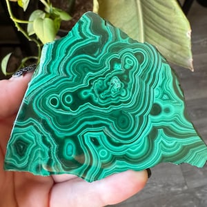 Malachite Polished Slice Natural Stone | Malachite Slab | Metaphysical Healing and Home Decor