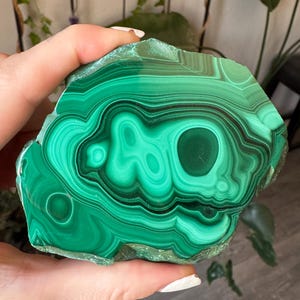 Fetta di malachite levigata, pietra naturale / Lastra di malachite / Guarigione metafisica e decorazione per la casa