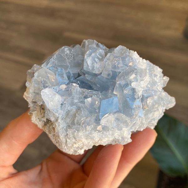 Celestite Crystal Clusters Raw Natural Geode | Mineral and Gemstone Specimen | Metaphysical Healing