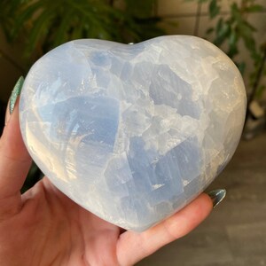 1.4lb blauer Calcit Herz-Kristall | Geschnitztes & poliertes Natursteinherz | Metaphysische Wohnkultur | Beruhigung und Kommunikation