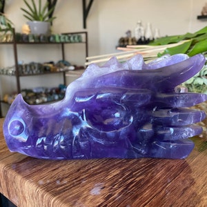3,1lb Fluorit Drachenkopf Crystal Large XL | Natürlicher geschnitzter und polierter Stein Drachenschädel | Metaphysisches Tier Home Decor