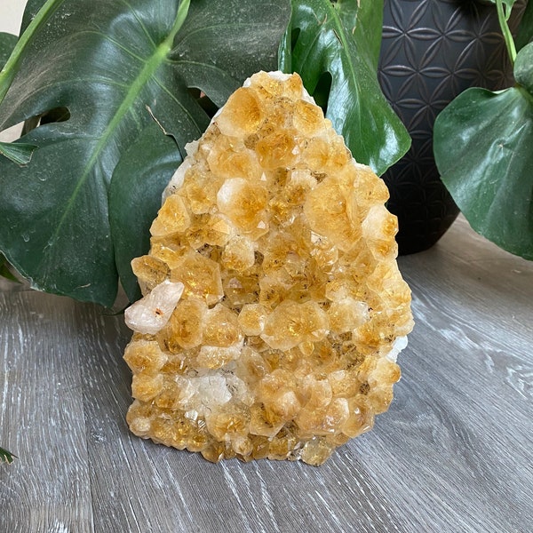 Racimo de cristal de cuarzo citrino de 9.1 lb, crudo, natural, metafísico, curativo y decorativo para el hogar