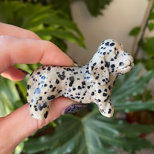 Cristal de perro salchicha de jaspe dálmata / Piedra natural tallada y pulida / Animal metafísico para decoración del hogar