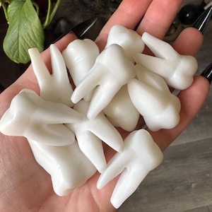 Cristal de dente de jade branco | Dentes anatômicos esculpidos e polidos em pedra natural | Decoração metafísica, bruxa e assustadora para o Halloween