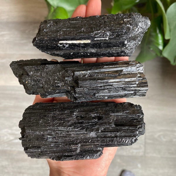 Black Tourmaline Raw Natural Stone Crystal Small to XL | Metaphysical Healing and Home Decor | Negative Energy Protection