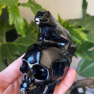 May include: A shiny black skull ornament with a frog figurine on top. The skull has detailed features, including teeth and eye sockets. The frog is also black and has a smooth, reflective surface. The ornament is held in a hand.