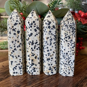 Puede incluir: Cuatro altos obeliscos de jaspe dálmata pulidos. Los obeliscos son de color blanco crema con manchas negras y están dispuestos en fila. El fondo incluye vegetación y bayas rojas.