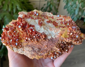 May include: A mineral specimen with clusters of bright reddish-orange crystals on a matrix of tan and brown rock. The crystals have a reflective quality. The piece is held in a hand.
