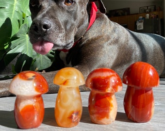 May include: Four polished stone mushroom ornaments in shades of orange, red, and white. The mushroom caps are rounded, and the stems are smooth. A dog with a red collar is in the background.