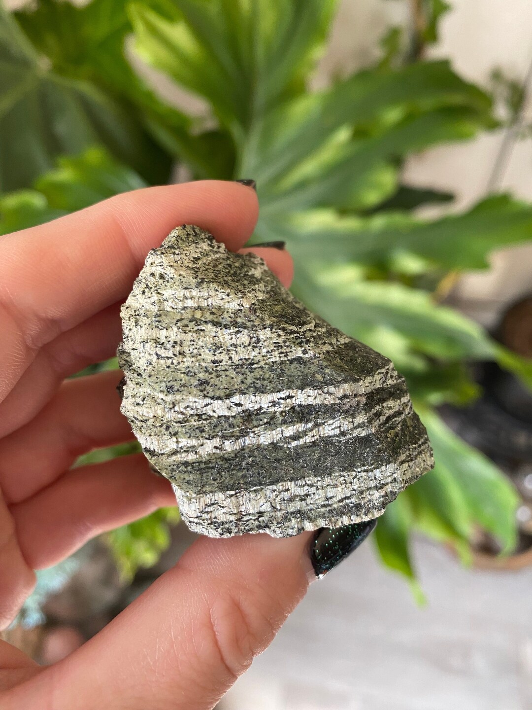 Green Zebra Jasper Raw Crystal Natural Rough Green Zebra Jasper