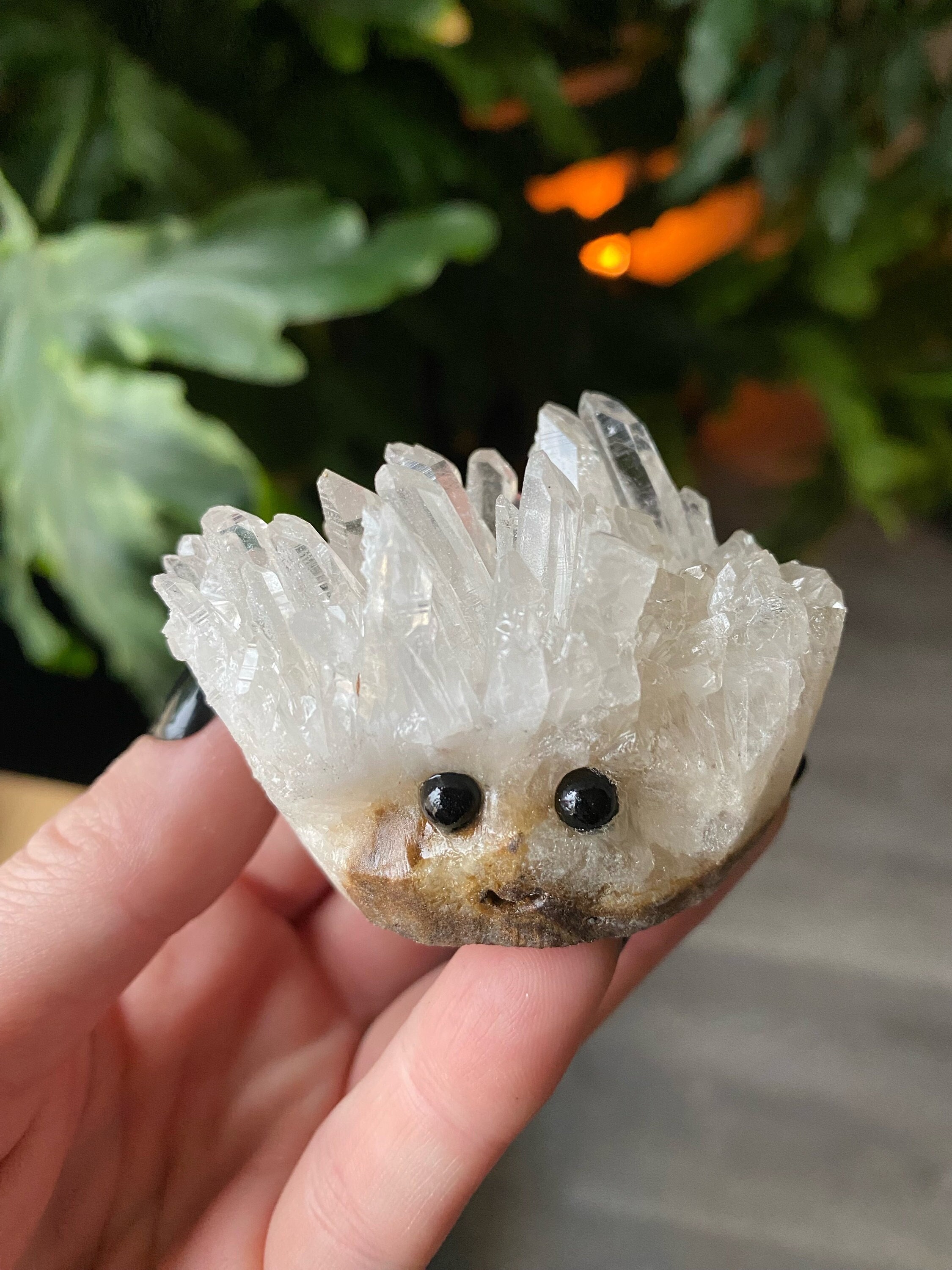 Clear Quartz Crystal Cluster Buddy Pet Rock | Natural Clear Clear Quartz Crystal Cluster Buddy Pet Rock | Natural Clear