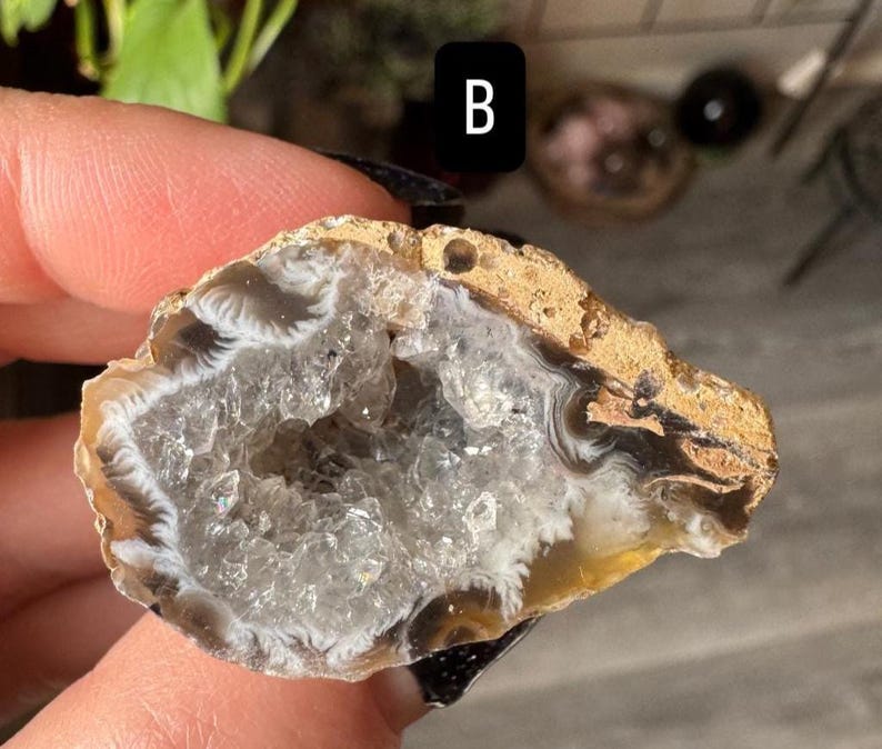 The Rough Geode Agate Geode Crystal Half | Natural Raw Rough Geode Half Polished A ...