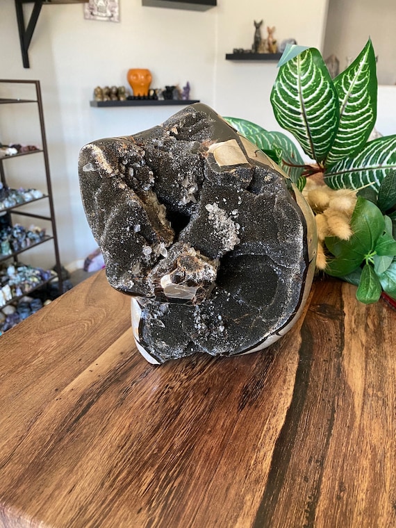 12.5lb Septarian Stone Geode Crystal Large XL | Natural Dragon  Septarian geode, septarian crystals, septarian stone, geodes, crystal clusters main image 0