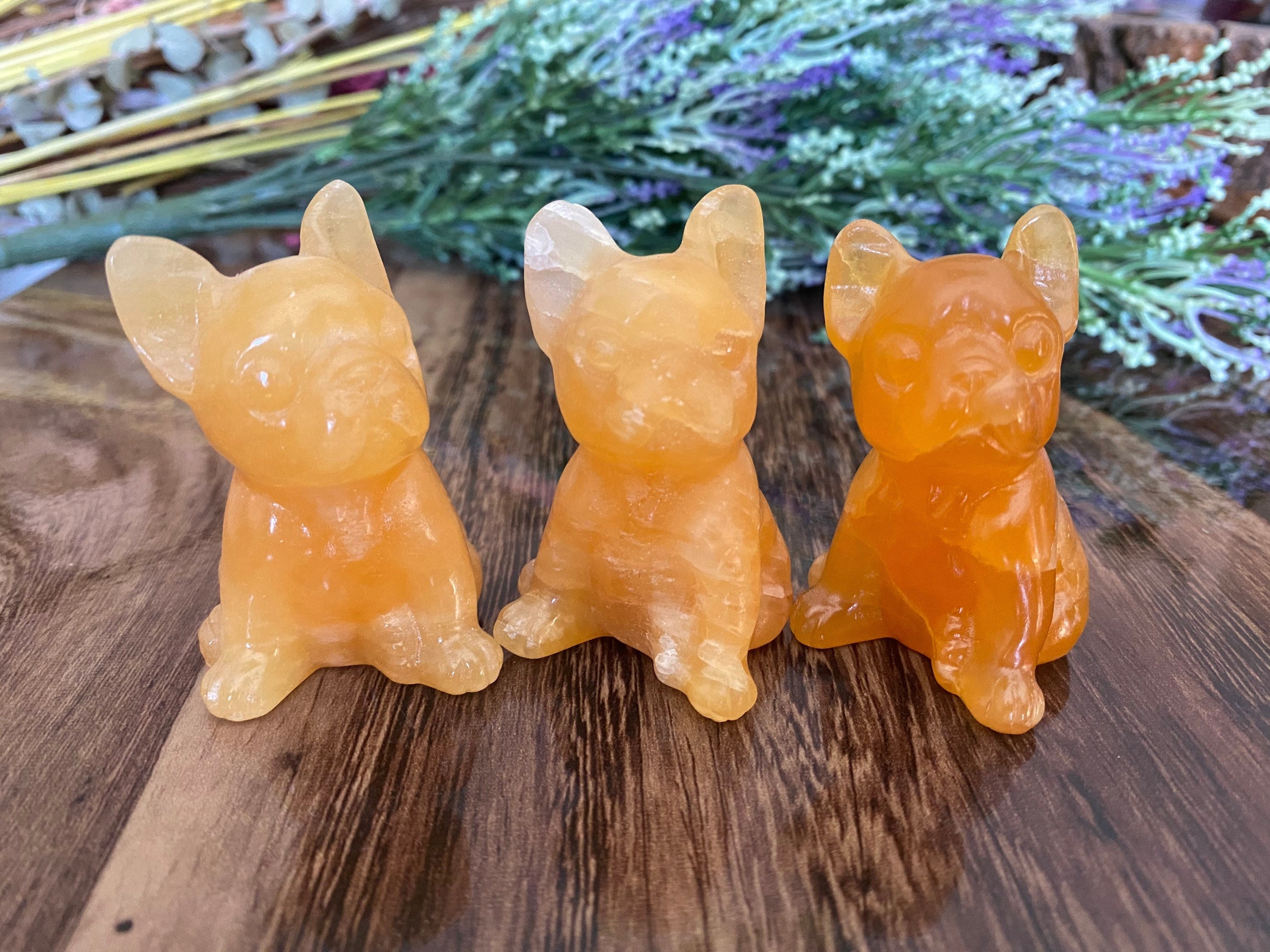 Orange gummy bear - Plant-Ex