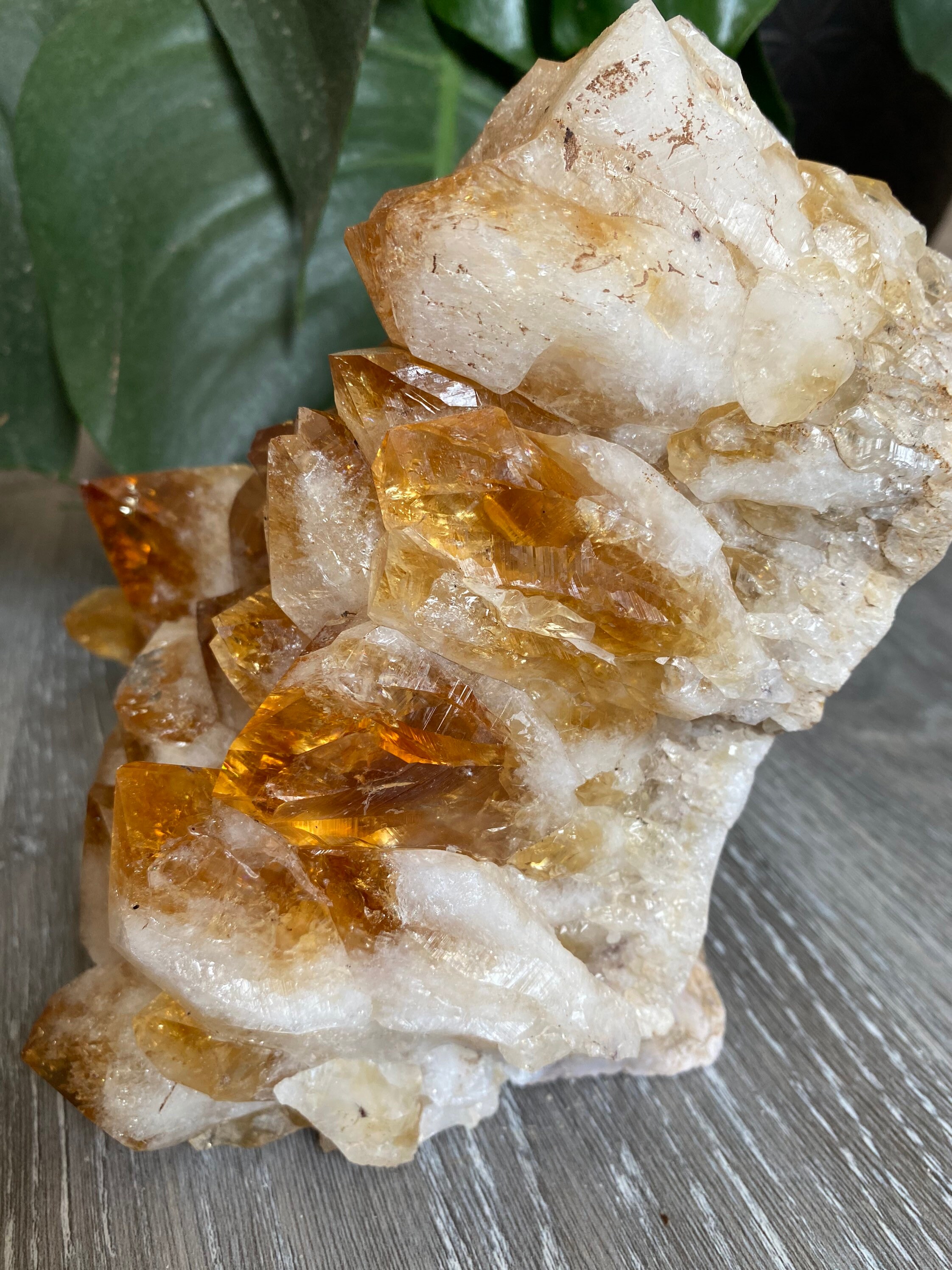 MASGEMES Citrin Kristallbaum – Gelber Quarz Bonsai Für Reichtum & Glück | Feng Shui Deko Baum Geschenk
