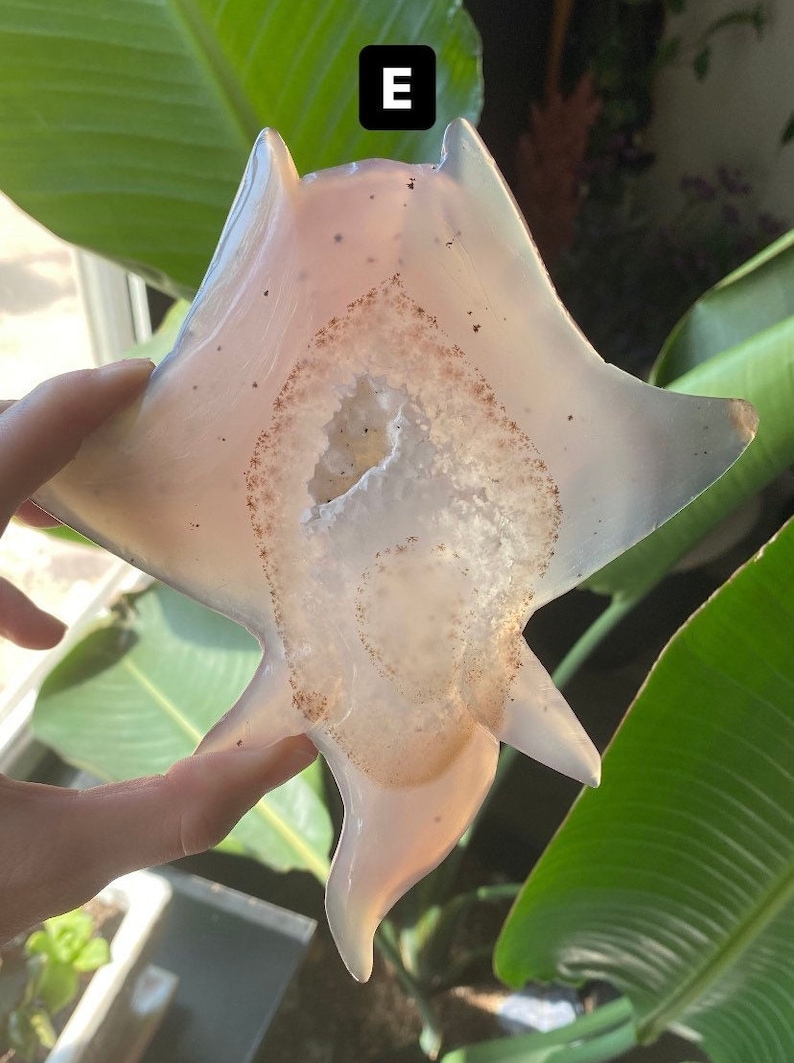 Geode Ray Agate Manta Ray Crystal | Natural Druzy Agate Carved Sting Ray ...
