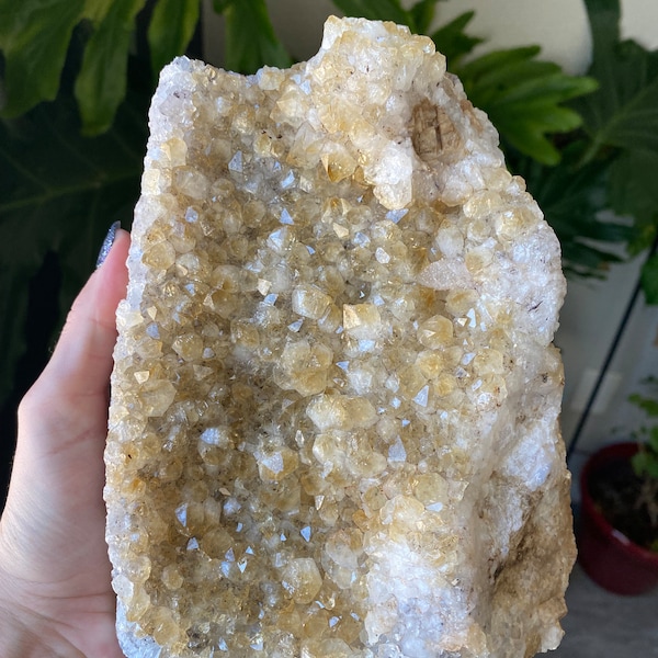 Racimo de cristal de cuarzo citrino de 5,6 lb, crudo, natural, grande, XL, curación metafísica y decoración del hogar
