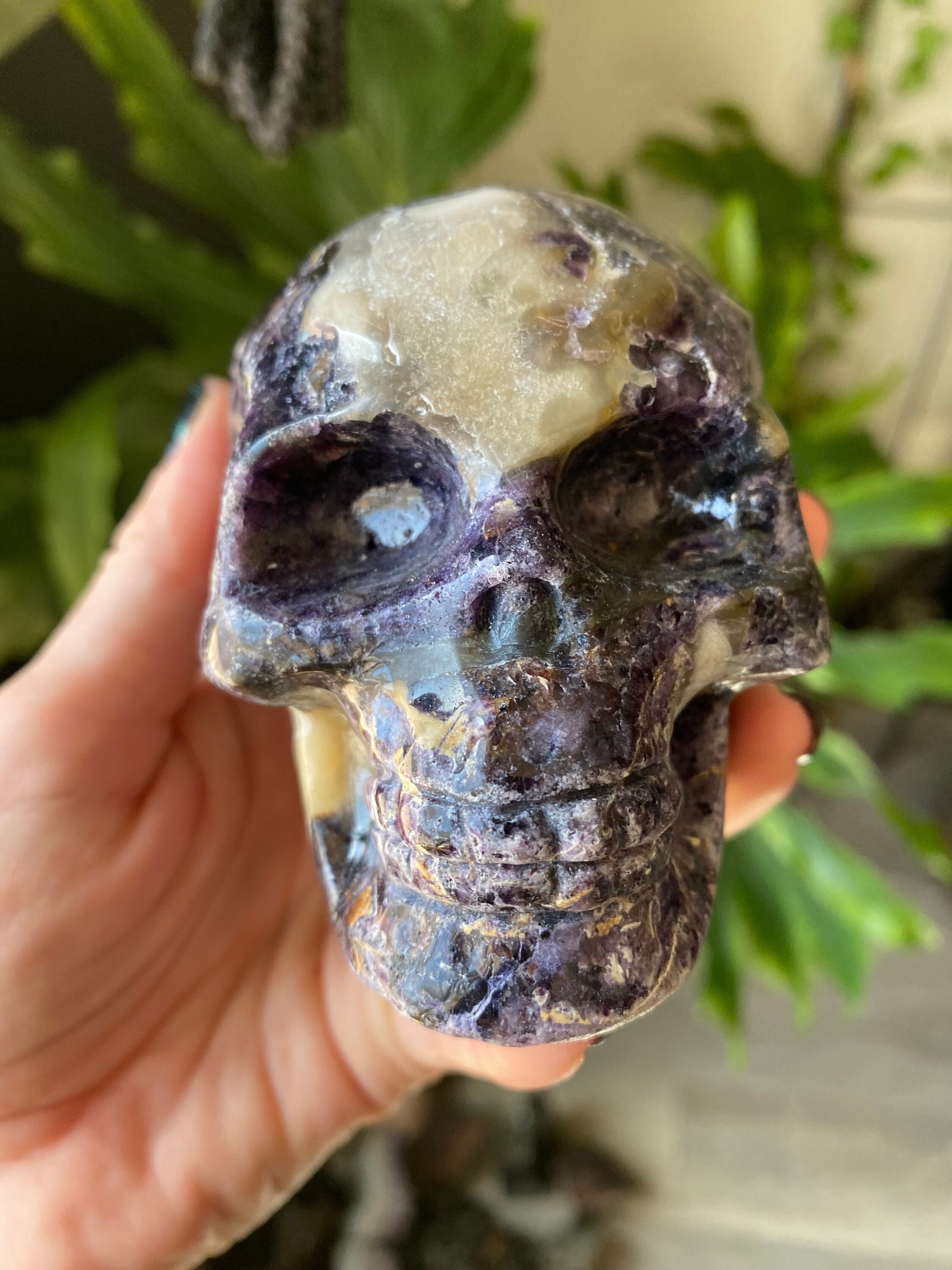 1.6lb Fluorite Root Skull Crystal | Natural Stone Carved and