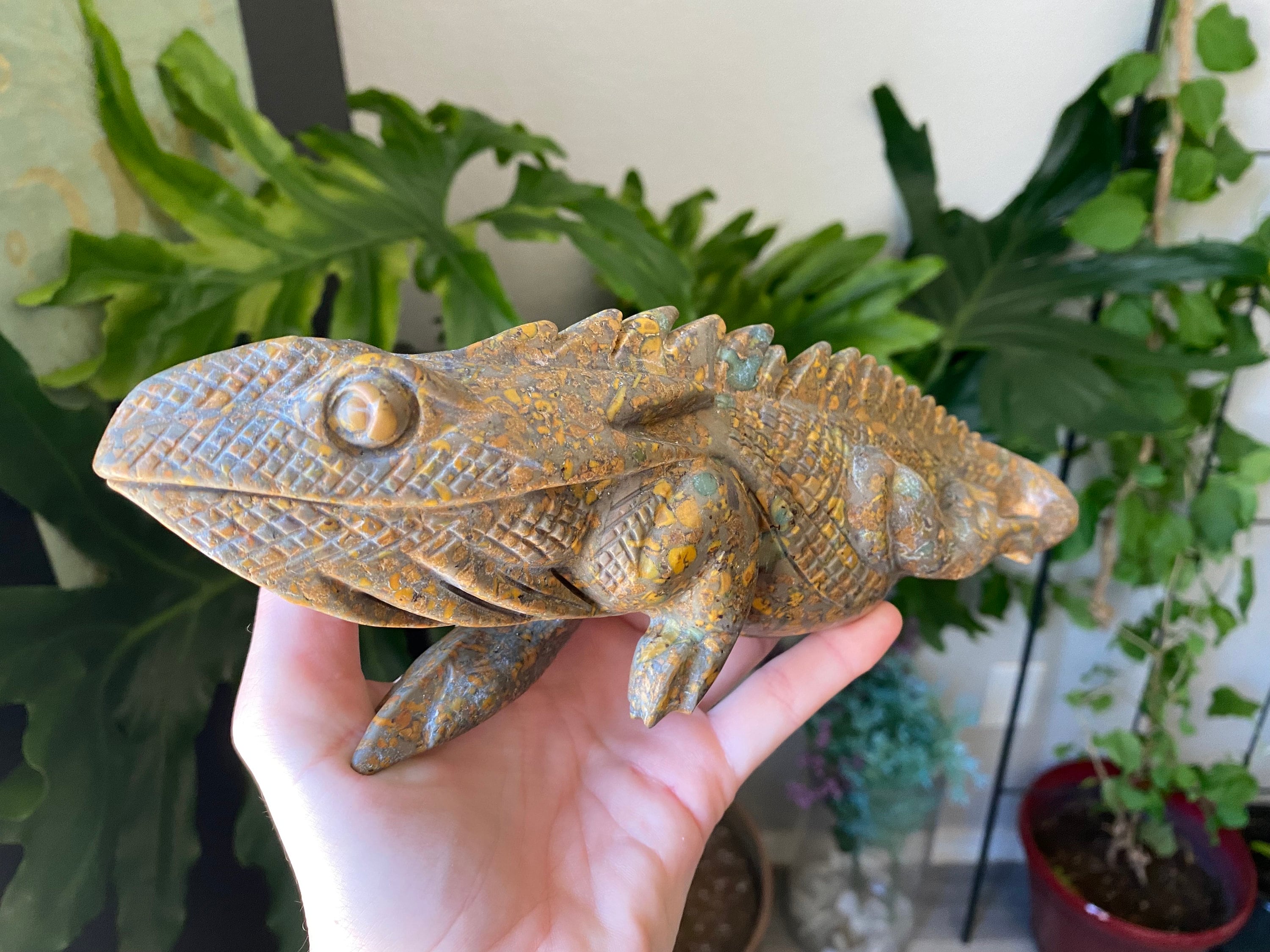 2lb Azo Stone Lizard Crystal | Natural Carved and Polished