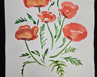 Flowers Poppies Red Orange Garden Spring