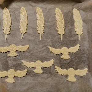 May include: A baking sheet with unbaked sugar cookies in the shapes of feathers and owls. The cookies are light brown and have a slightly textured surface.