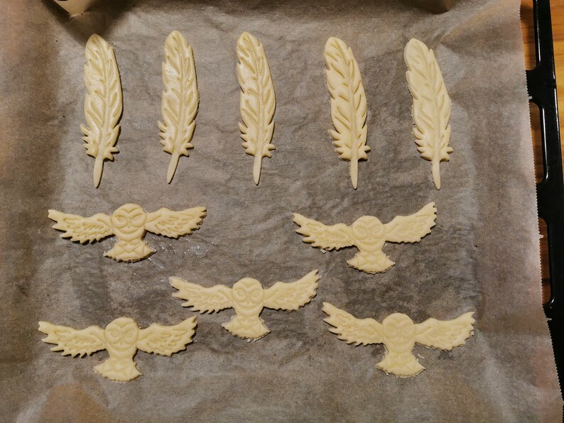May include: A baking sheet with unbaked sugar cookies in the shapes of feathers and owls. The cookies are light brown and have a slightly textured surface.