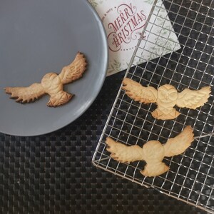 May include: Three brown owl-shaped cookies on a wire rack and a gray plate. The cookies are decorated with details like eyes and wings. The plate has a white background with the text "Merry Christmas" in red and black.