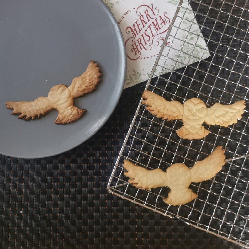 May include: Three brown owl-shaped cookies on a wire rack and a gray plate. The cookies are decorated with details like eyes and wings. The plate has a white background with the text "Merry Christmas" in red and black.