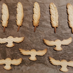 May include: A baking sheet with nine cookies, six are shaped like feathers and three are shaped like owls. The cookies are a light brown color and have a slightly textured surface.