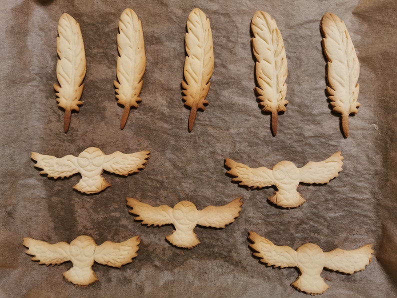 May include: A baking sheet with nine cookies, six are shaped like feathers and three are shaped like owls. The cookies are a light brown color and have a slightly textured surface.