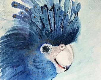 Black Cockatoo, original watercolour