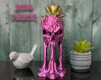 Skull Planter- Desk Planter- Unique Plant Pot- Nosferatu